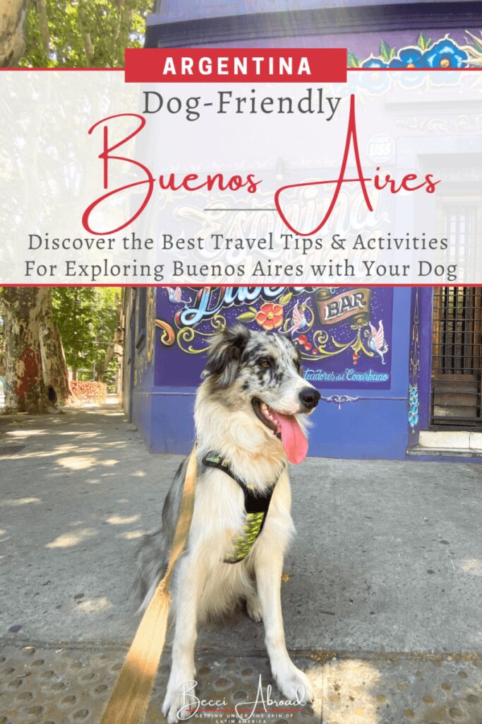 Best Dog Friendly Activities Near Me