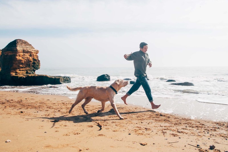 Best Dog Friendly Beaches East Coast