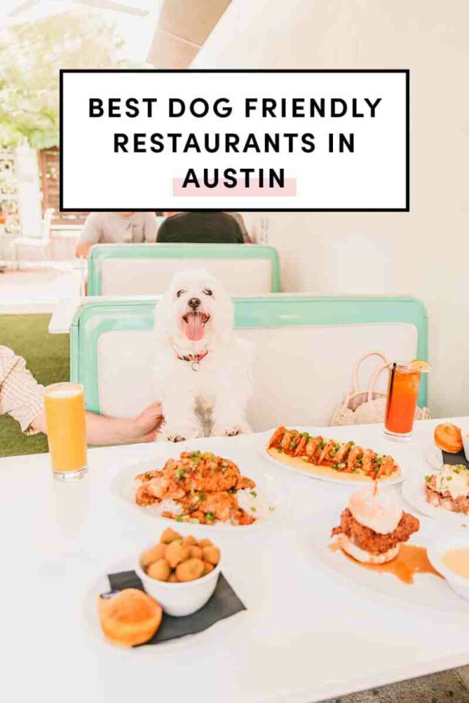 Best Dog Friendly Brunch Near Me