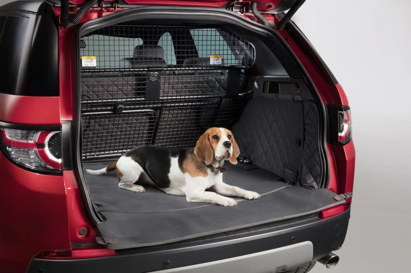 Best Dog Friendly Electric Cars