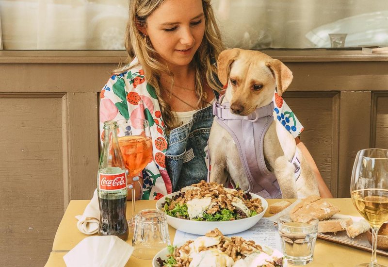 Best Dog Friendly Lunch Near Me