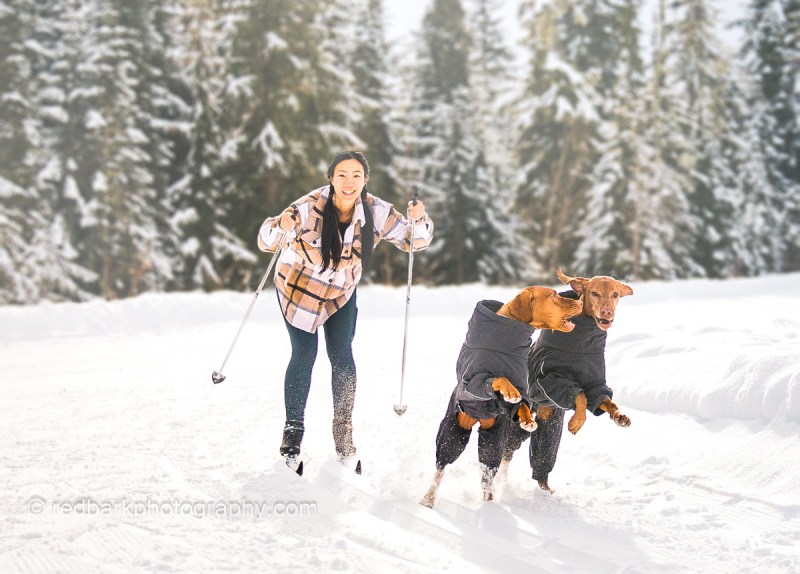 Best Dog Friendly Ski Resorts