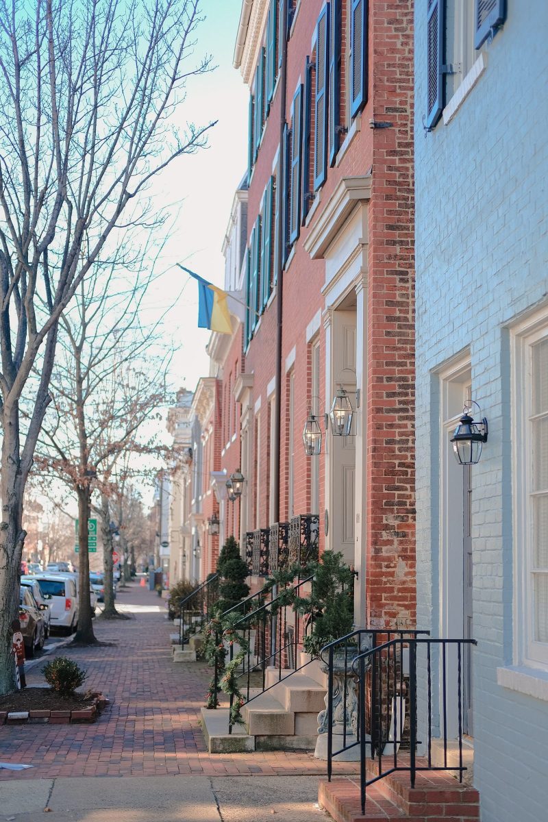 Dog Friendly Alexandria Va