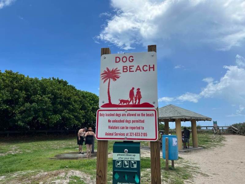 Dog Friendly Beach Vacations Near Me