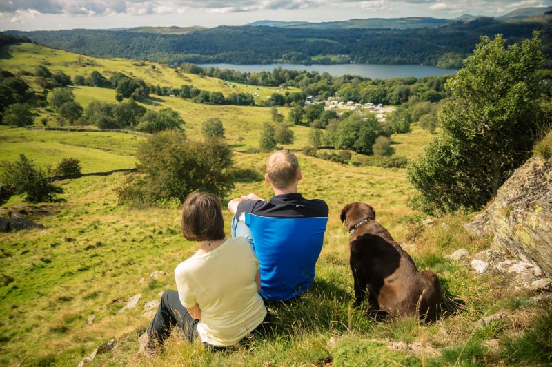 Dog Friendly Holidays Lake Windermere