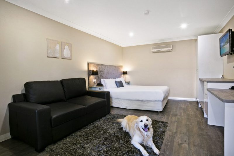 Dog Friendly Motel Tamworth