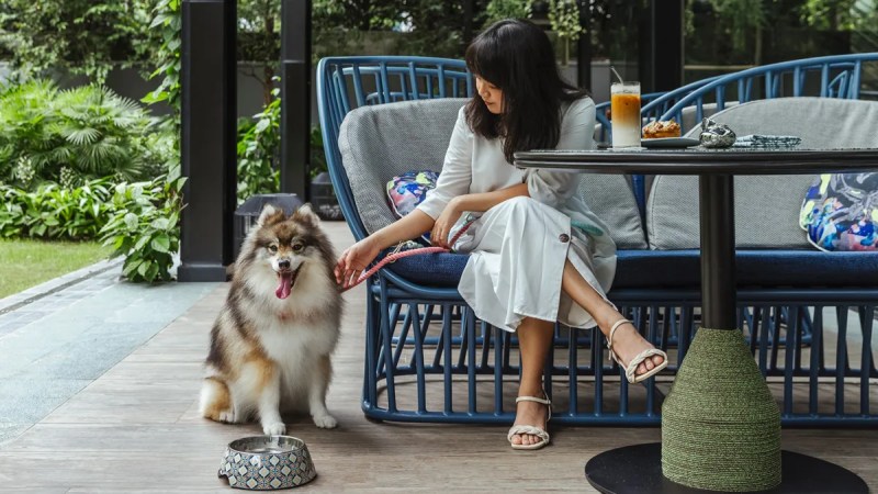 Dog-friendly Restaurants Near Me Indoor