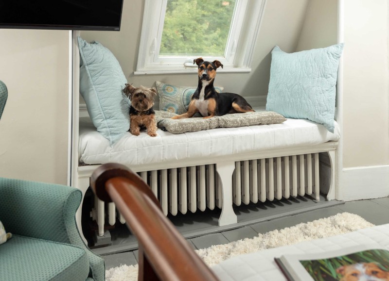 Pet Friendly Lodging In Kittery Me