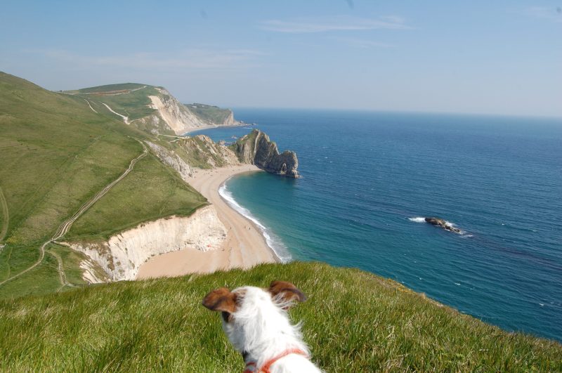 Best Dog Friendly Beaches Dorset