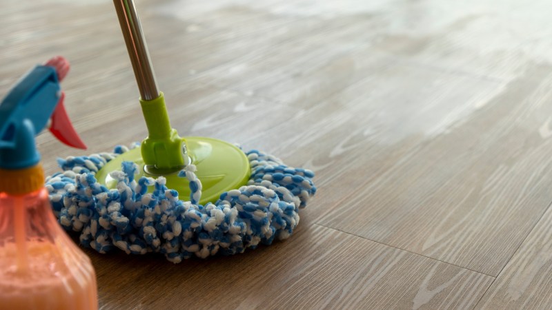 Best Dog Friendly Floor Cleaner