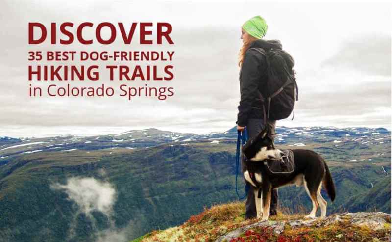 Best Dog Friendly Hikes In Colorado