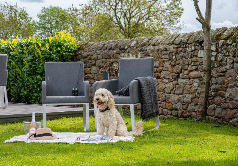 Best Dog Friendly Holidays With Enclosed Paddocks Uk