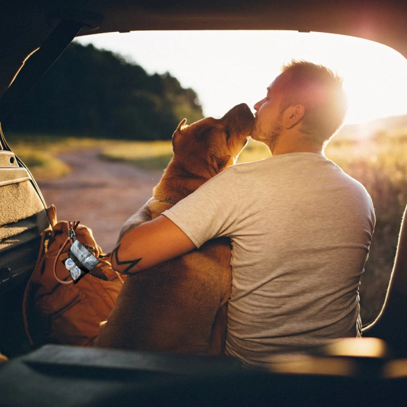 Best Dog Friendly Places To Travel