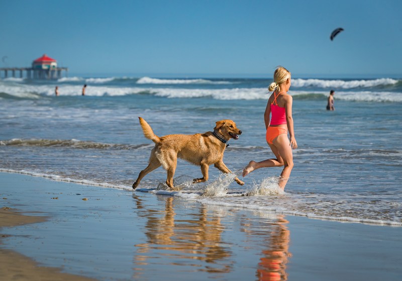 Best Pet Friendly Family Vacations