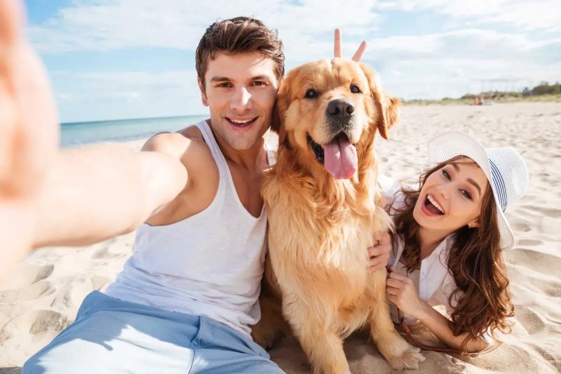 Best Vacations With Dogs Near Me