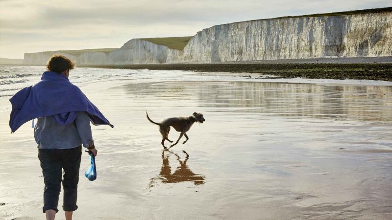 Dog Friendly Beaches East Sussex