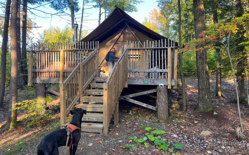 Dog Friendly Cabin York