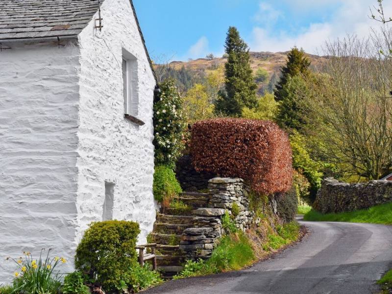 Dog Friendly Holidays Cumbria