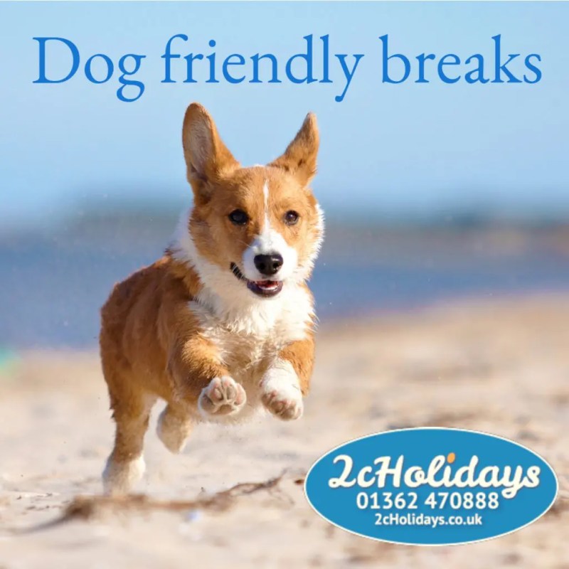 Dog Friendly Holidays England