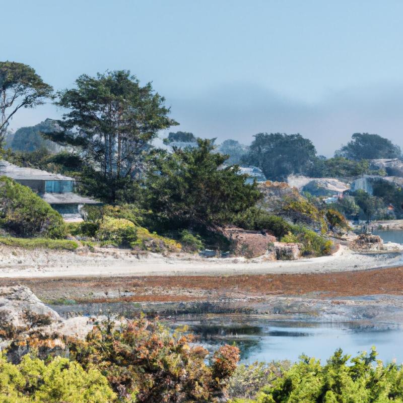 Dog Friendly Restaurants In Carmel By The Sea