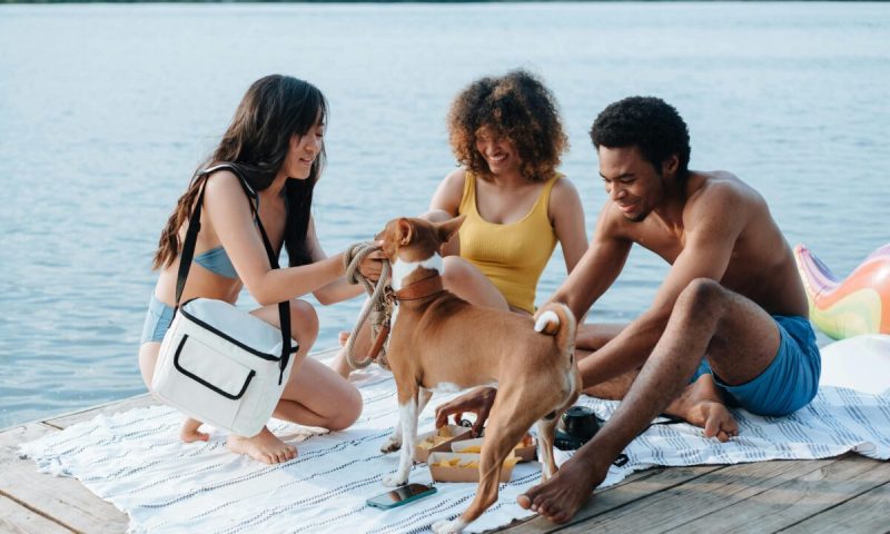 Dog Friendly Trip Ideas