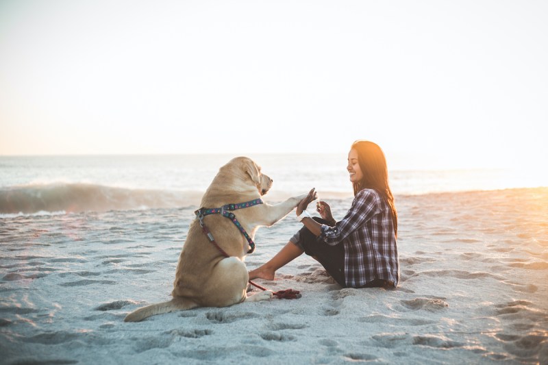 Dog-friendly Vacation Resorts