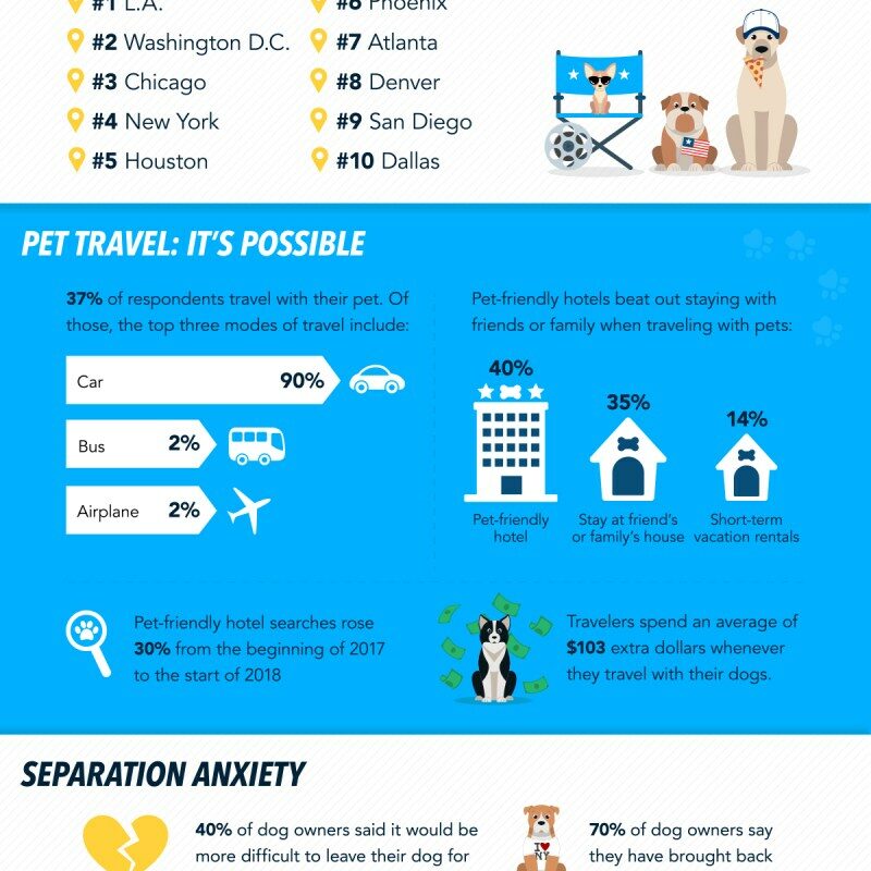 Dog Friendly Vacation Spots