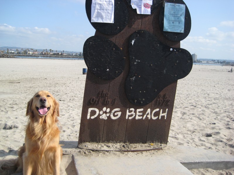 Dog Friendly Vacations California