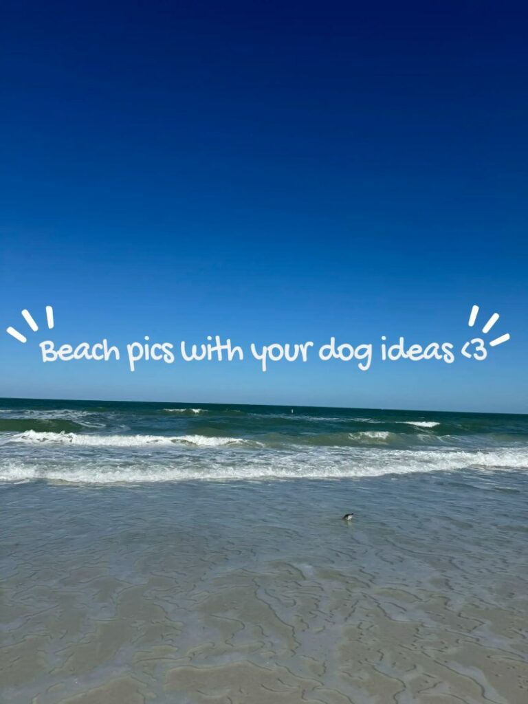 Dog Vacation Ideas