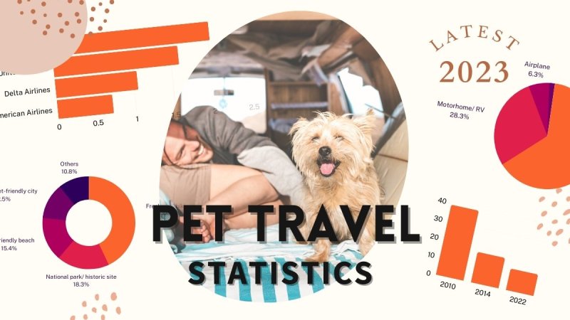 Luxury Vacations With Dogs