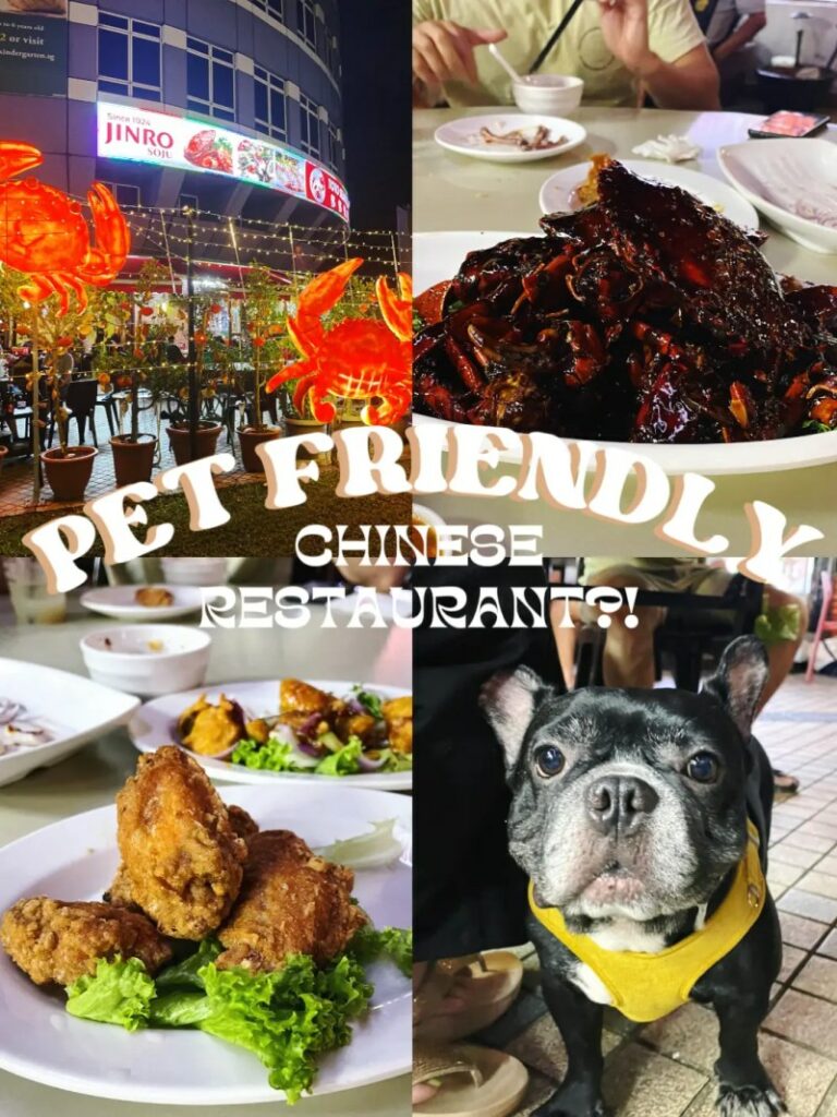 Good Dog Friendly Restaurants Near Me